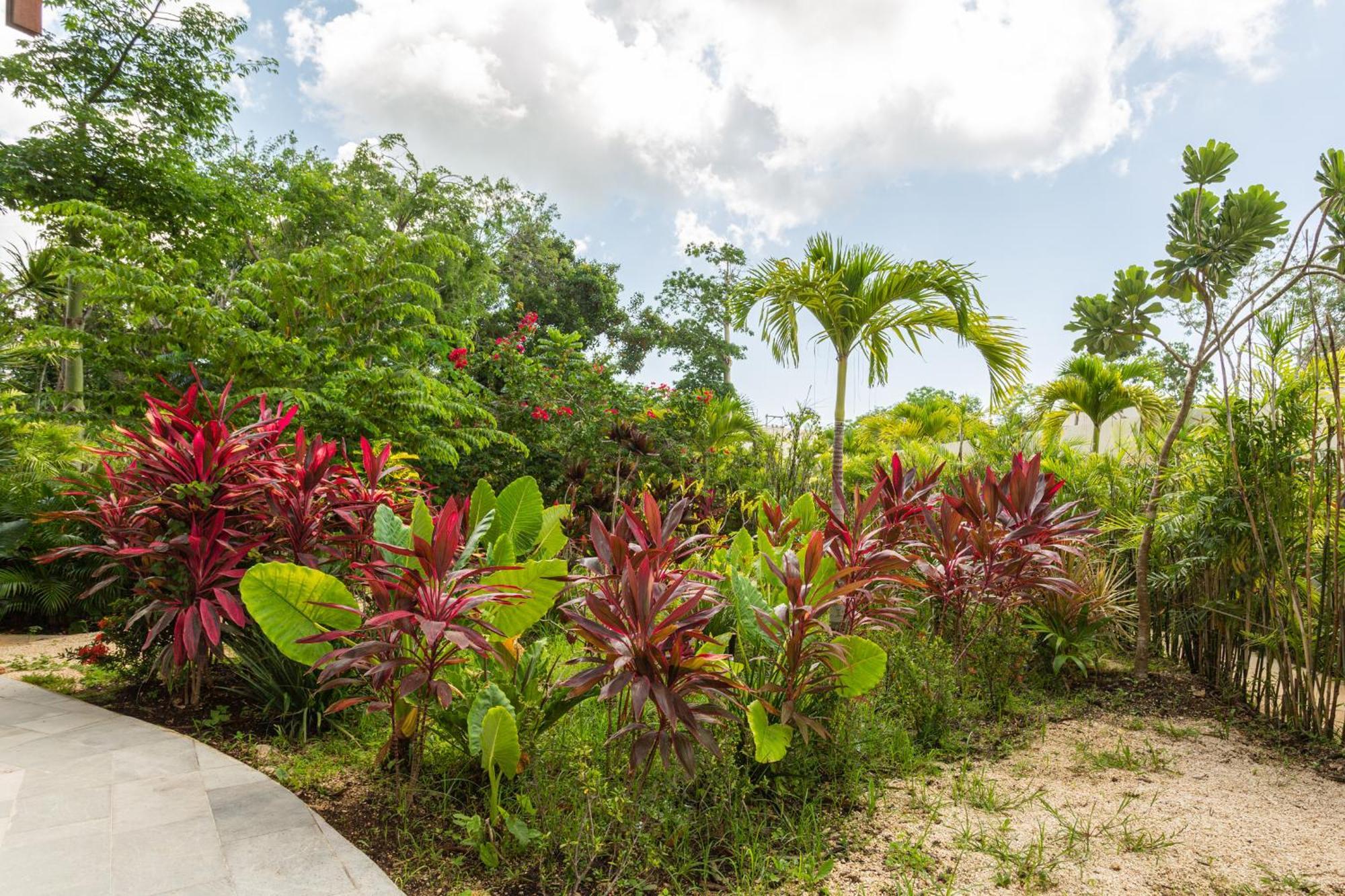 Mistiq Gardens Apartment Tulum Bilik gambar