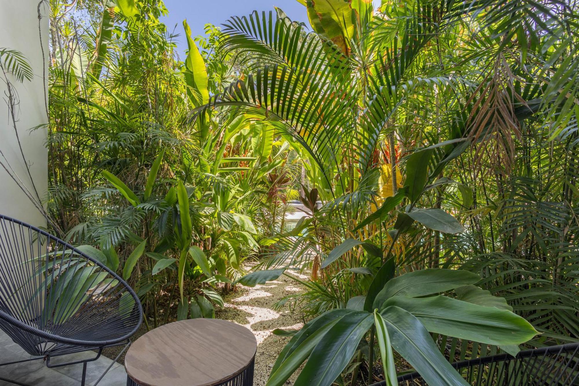 Mistiq Gardens Apartment Tulum Luaran gambar