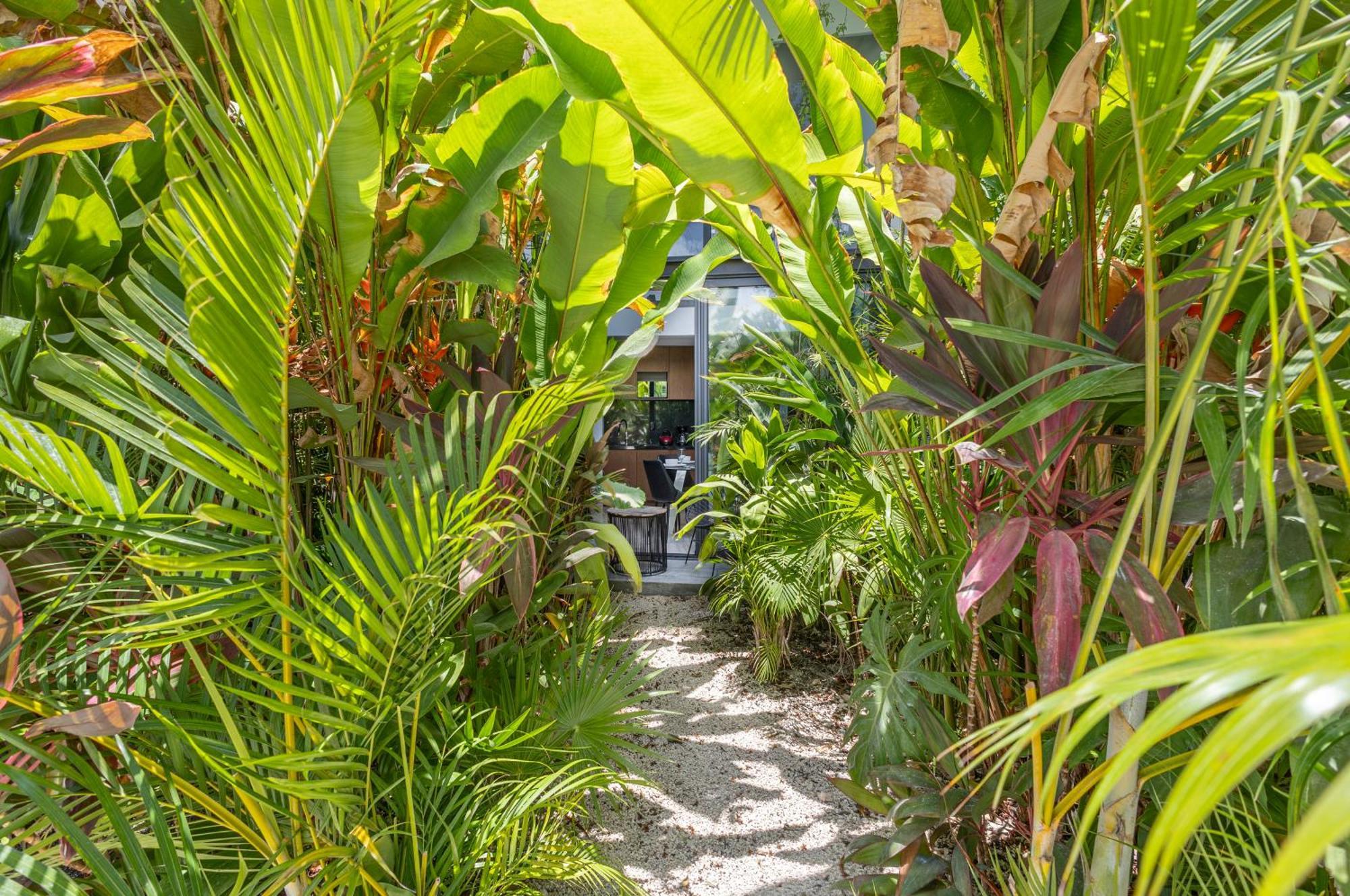 Mistiq Gardens Apartment Tulum Bilik gambar